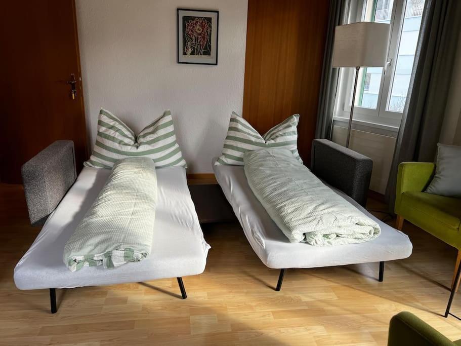 Charmante Und Zentrale Wohnung Am Weiherpark Arbon Extérieur photo
